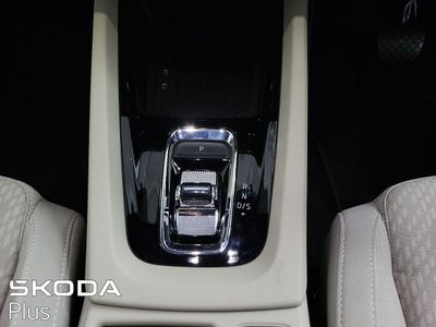 2023 Skoda Octavia