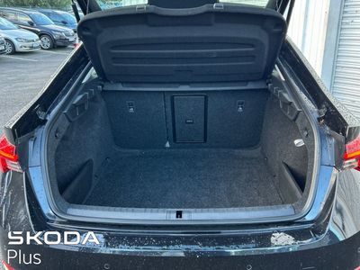 2023 Skoda Octavia