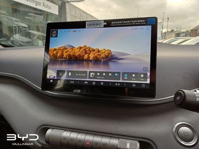2026 BYD Dolphin Surf