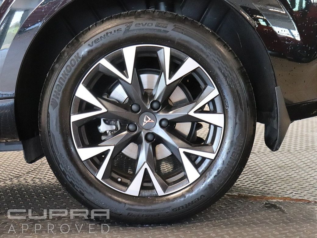 2026 Cupra Terramar