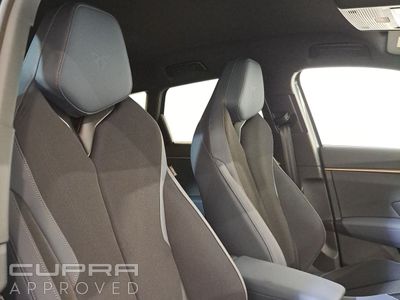 2026 Cupra Terramar