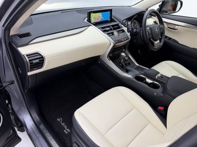 2021 Lexus NX 300h