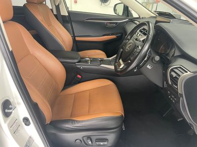 2019 Lexus NX