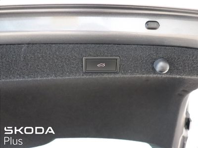 2023 Skoda Octavia