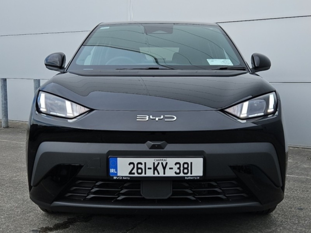 2026 BYD Dolphin Surf