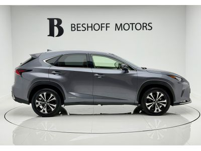 2021 Lexus NX 300h