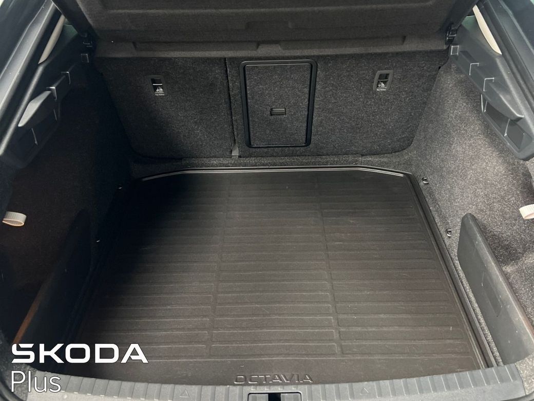 2024 Skoda Octavia