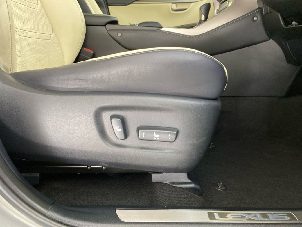 2019 Lexus NX 300h