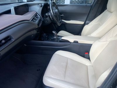 2021 Lexus UX 300e