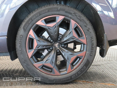 2026 Cupra Terramar