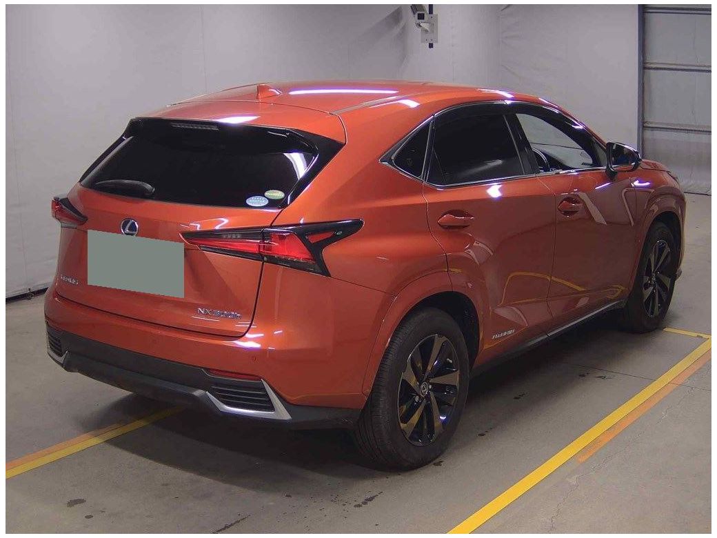 2020 Lexus NX