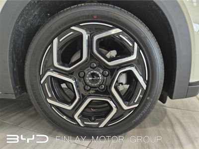 2026 BYD Dolphin