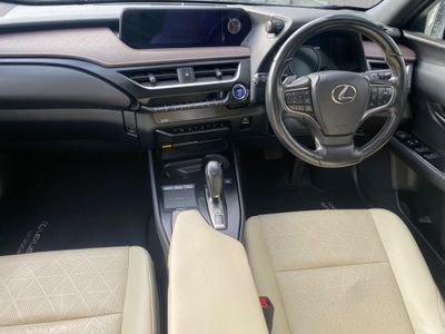 2021 Lexus UX 300e
