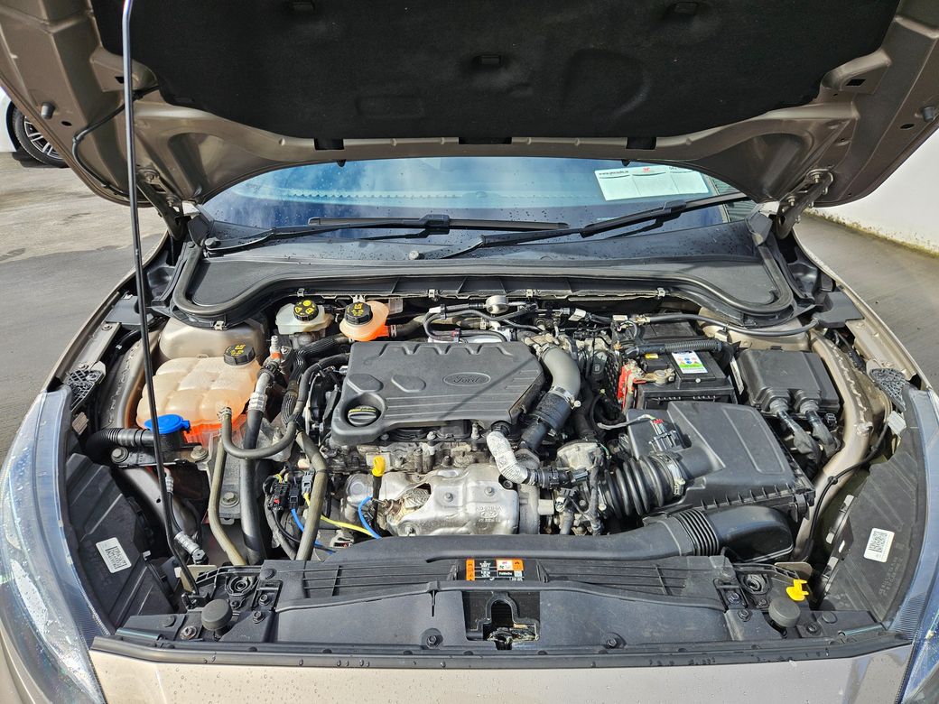 2019 Ford Focus