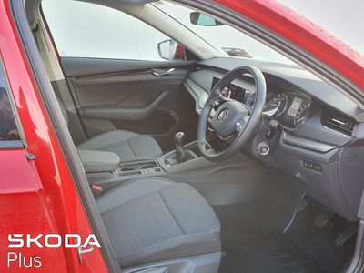 2023 Skoda Octavia