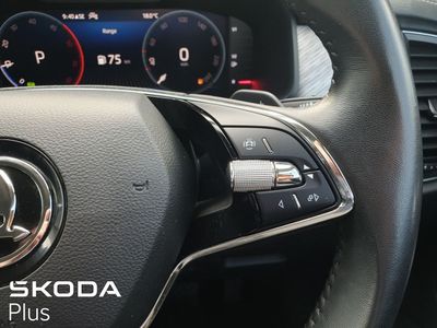 2024 Skoda Kodiaq