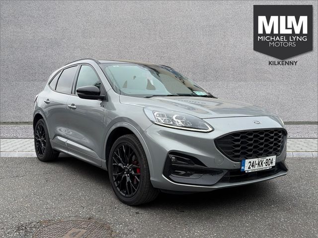 vehicle for sale from Michael Lyng Motors
