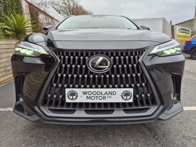 2023 Lexus NX 450H+