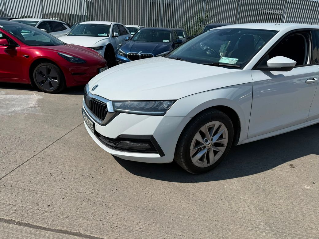 2023 Skoda Octavia