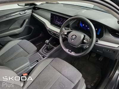 2023 Skoda Octavia