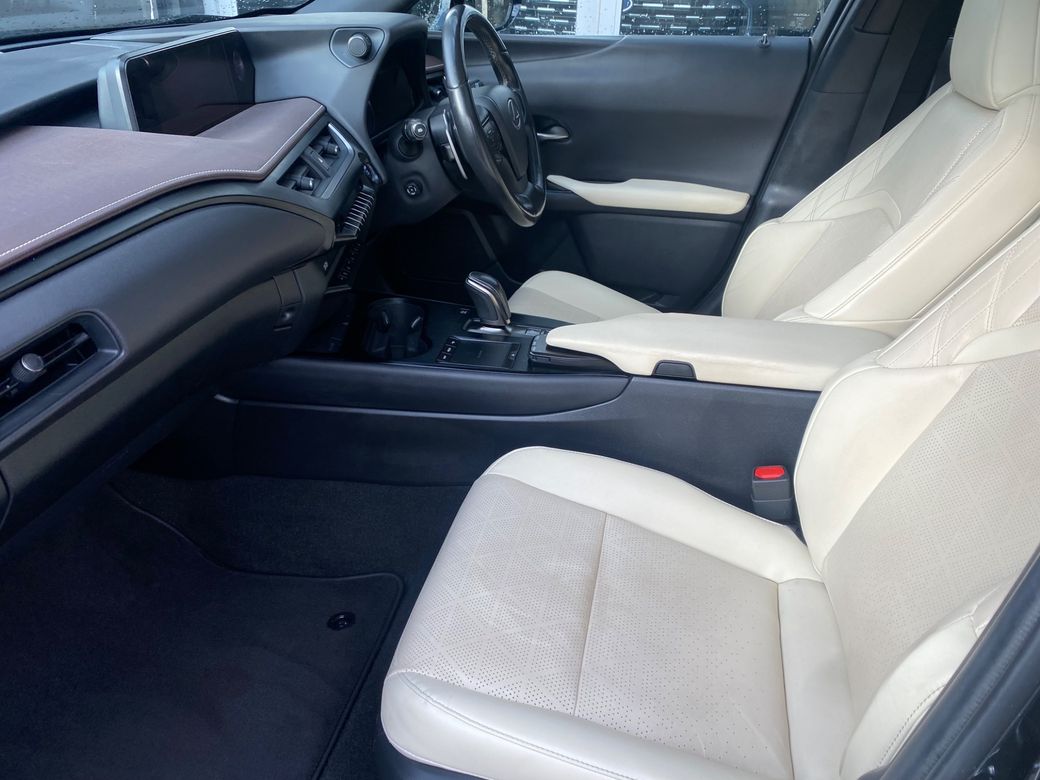 2021 Lexus UX 300e