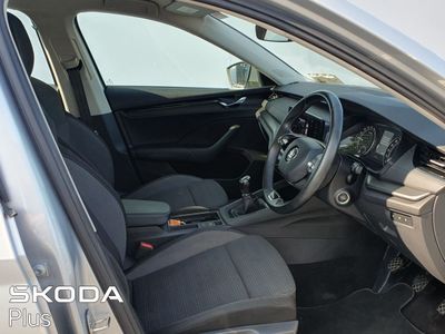 2023 Skoda Octavia