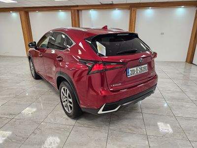 2020 Lexus NX