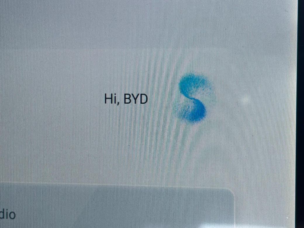 2025 BYD Atto 3