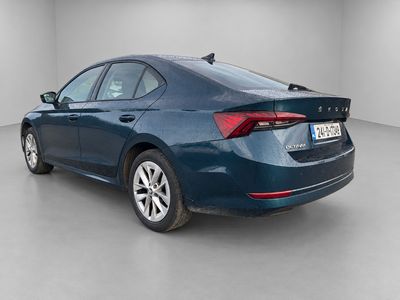 2024 Skoda Octavia