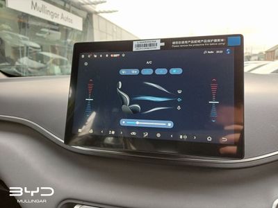 2026 BYD Dolphin Surf