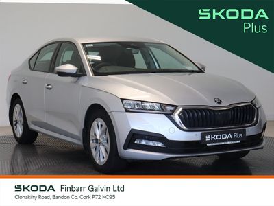2023 Skoda Octavia