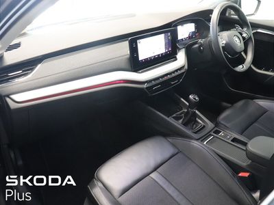 2023 Skoda Octavia