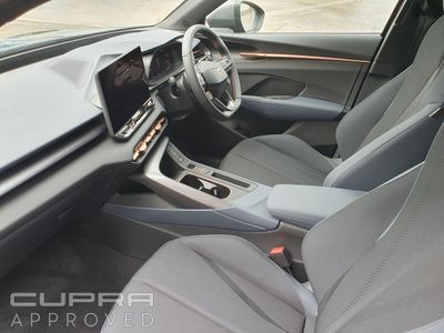 2026 Cupra Terramar