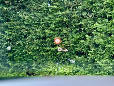 2021 Bentley Bentayga