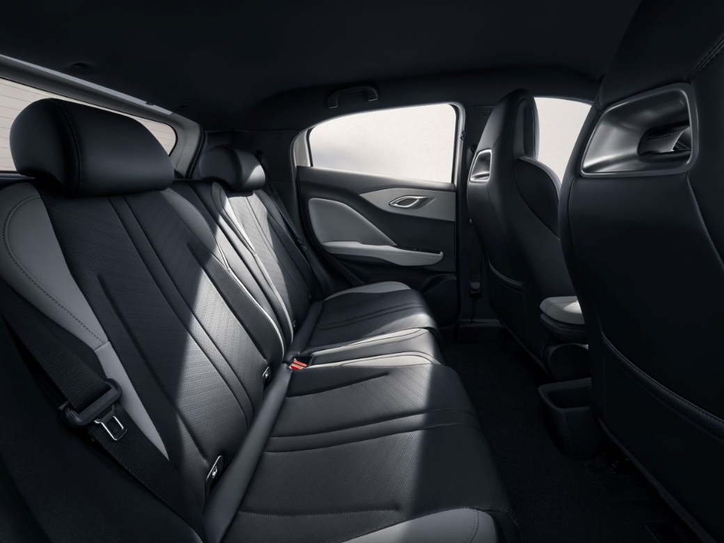 2025 BYD Dolphin Surf