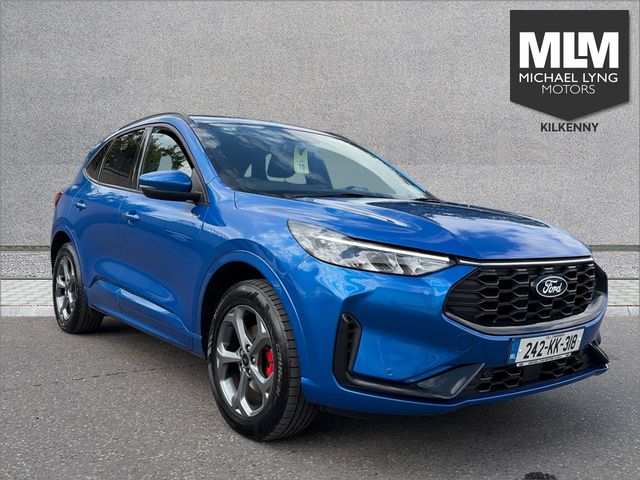 vehicle for sale from Michael Lyng Motors