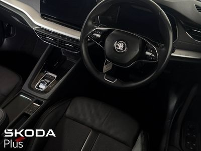 2023 Skoda Octavia