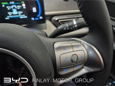 2026 BYD Dolphin Surf