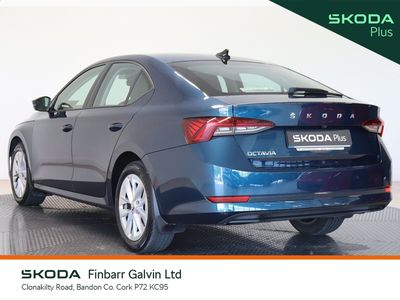 2023 Skoda Octavia