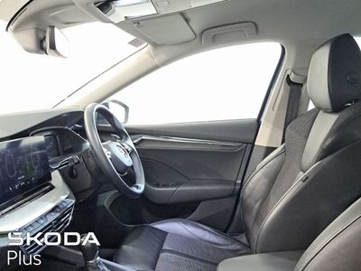 2023 Skoda Octavia