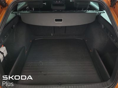 2024 Skoda Octavia