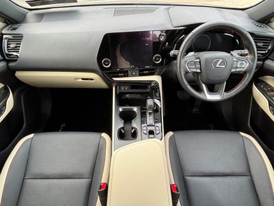 2023 Lexus NX