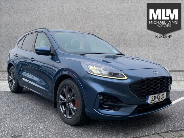 vehicle for sale from Michael Lyng Motors