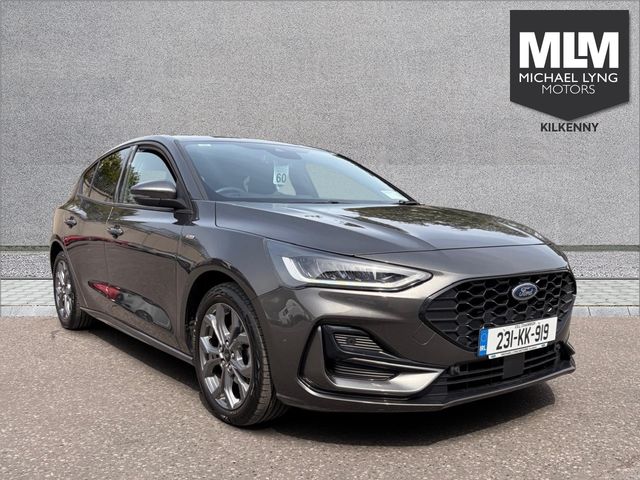 vehicle for sale from Michael Lyng Motors