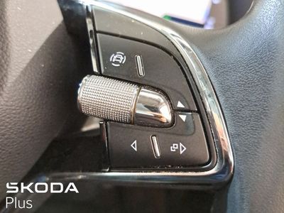 2023 Skoda Octavia