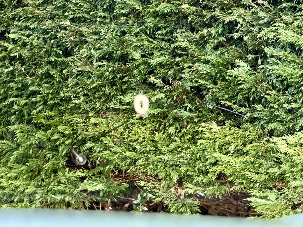 2018 Volkswagen Touareg