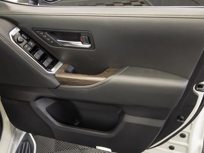 2024 Toyota Land Cruiser Amazon