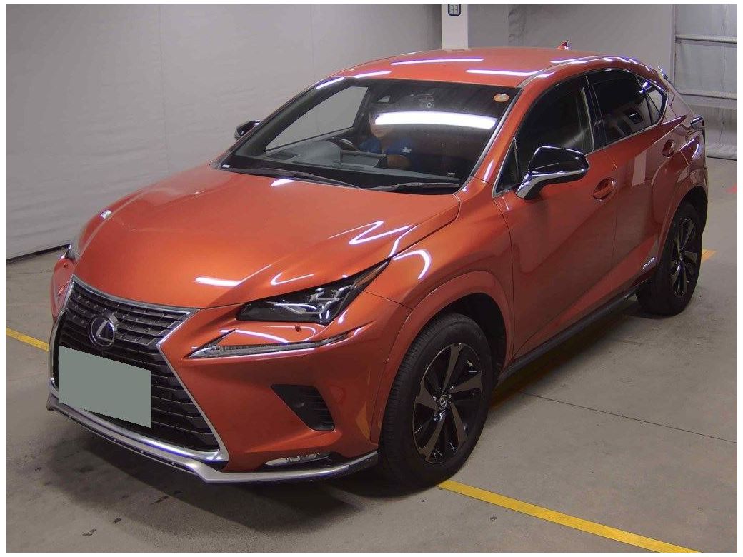 2020 Lexus NX