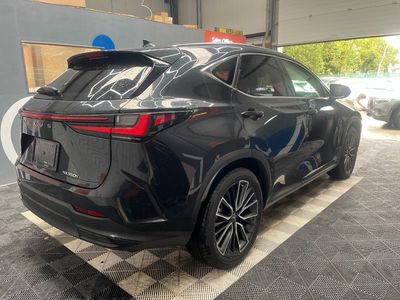 2023 Lexus NX