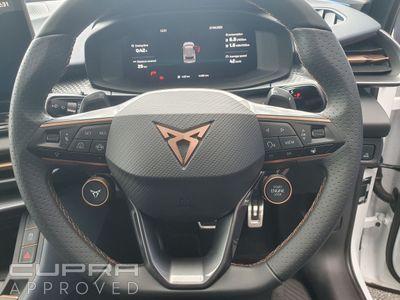 2025 Cupra Terramar